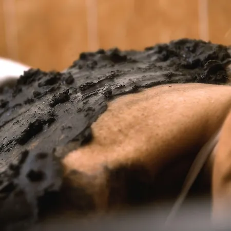 Park Terme أبانو تيرمي